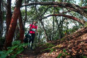 BIB: 
                            <button type="button" onclick="openModal(26345919)" class="btn btn-primary btn-sm float-right btn-popup" data-toggle="modal" data-target=".modal-high-quality">
                        <i class="fas fa-shopping-cart"></i> Add to Cart
                    </button>
                                            <button type="button" onclick="isThisMe(26345919, true)" class="btn btn-success btn-sm float-right btn-popup btn-isme hidden" data-toggle="tooltip" data-placement="bottom" title="นี่คือรูปของคุณใช่ไหม คลิกที่นี่เพื่อเอาเข้าอัลบั้ม">
                        <i class="fas fa-plus"></i> Add to album
                    </button>
                    <button type="button" onclick="isThisMe(26345919, false)" class="btn btn-warning btn-sm float-right btn-popup btn-isnotme hidden">
                        <i class="fas fa-ban"></i> Remove from album
                    </button>